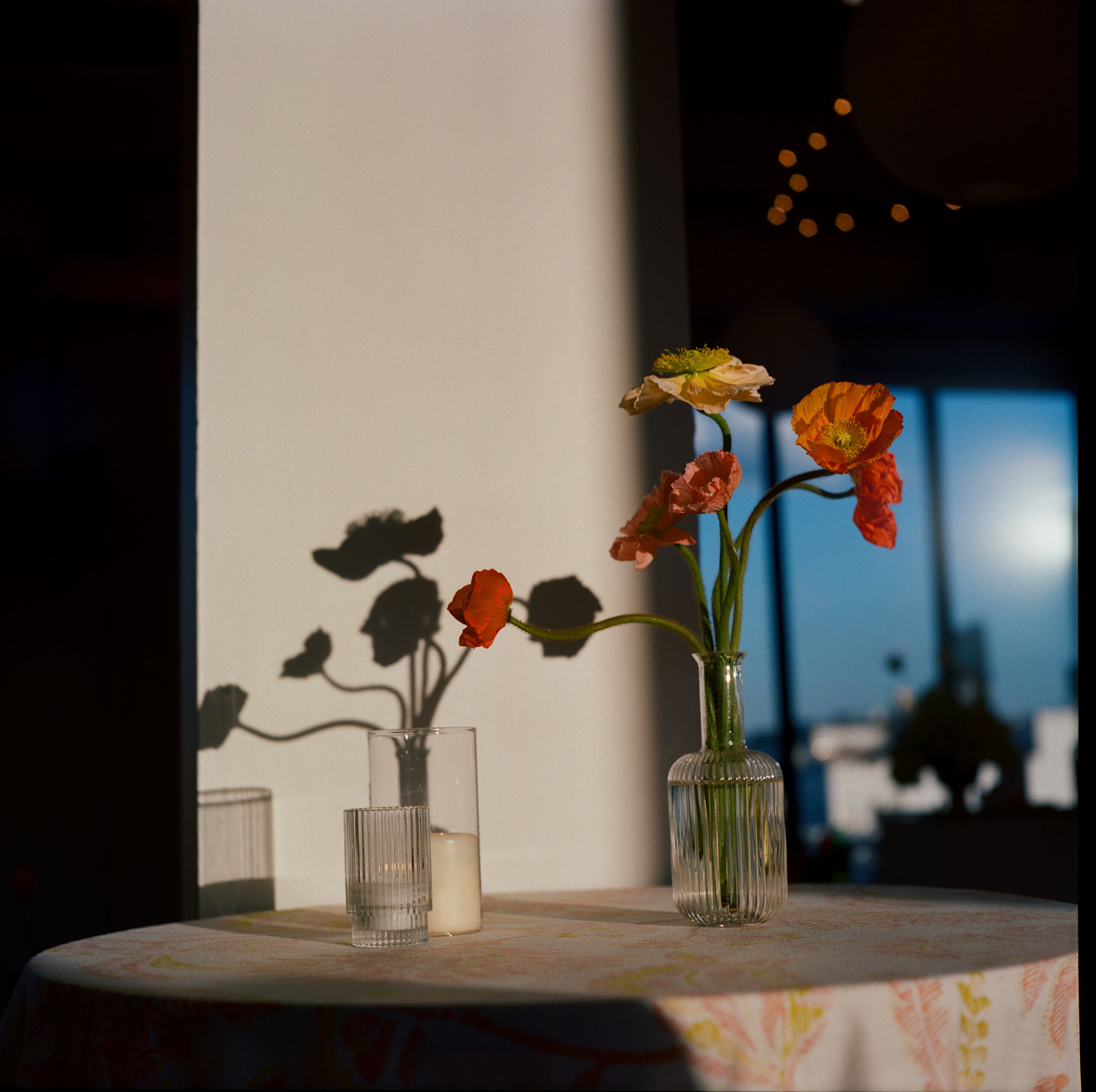 poppy floral arrangement with shadows on wall shot on medium format film by parkers pictures