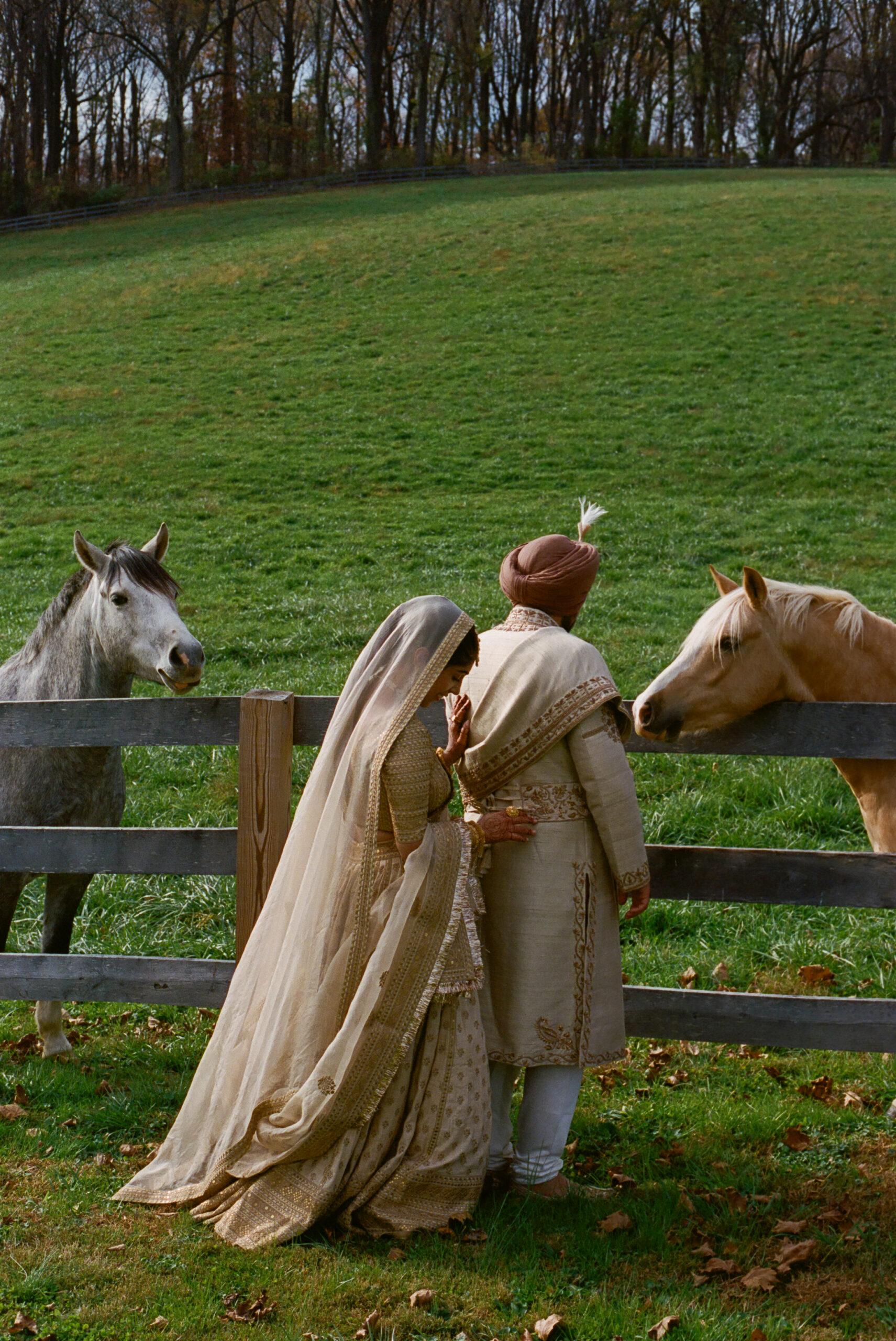 sikh wedding bride and groom in field with horses shot on 35mm film by parkers pictures