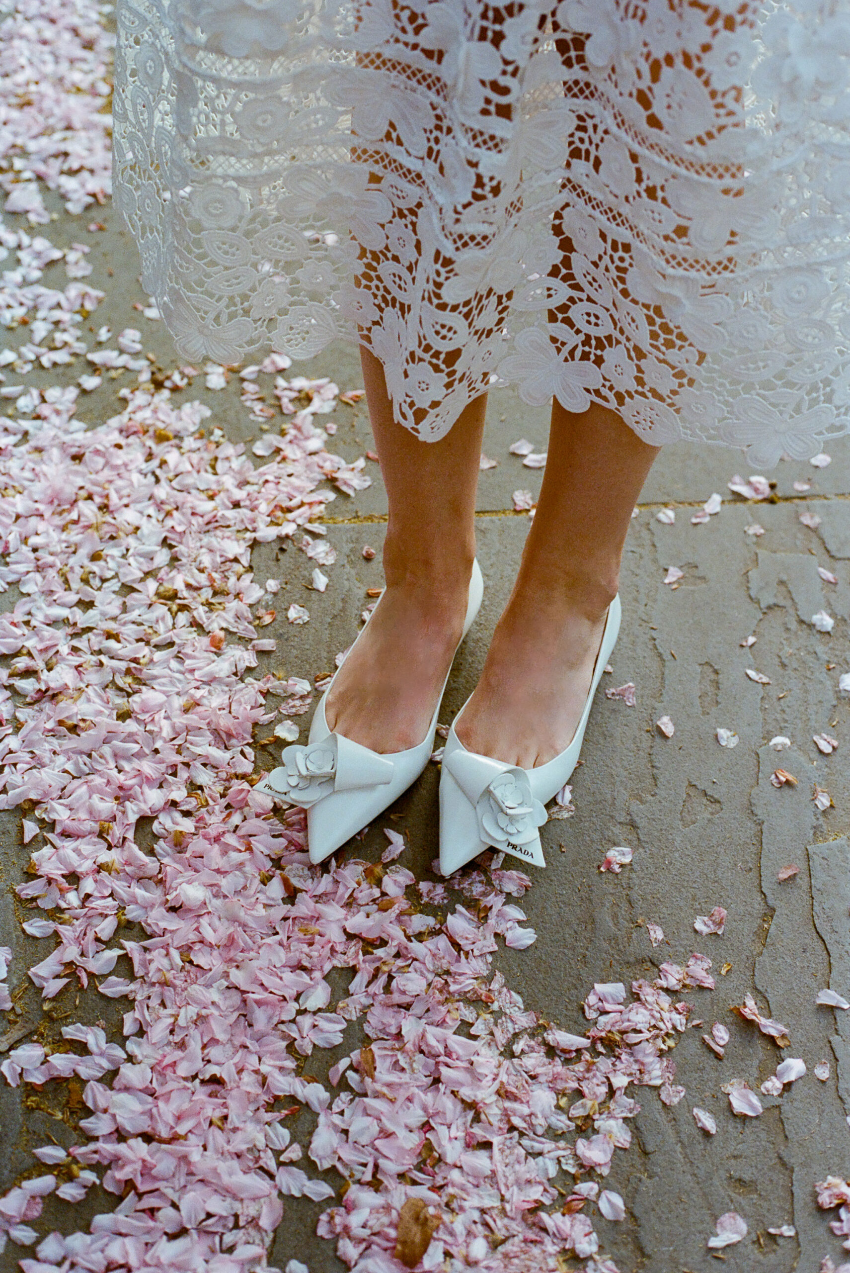 Prada shoes with cherry blossoms NYC taken by Parkers Pictures